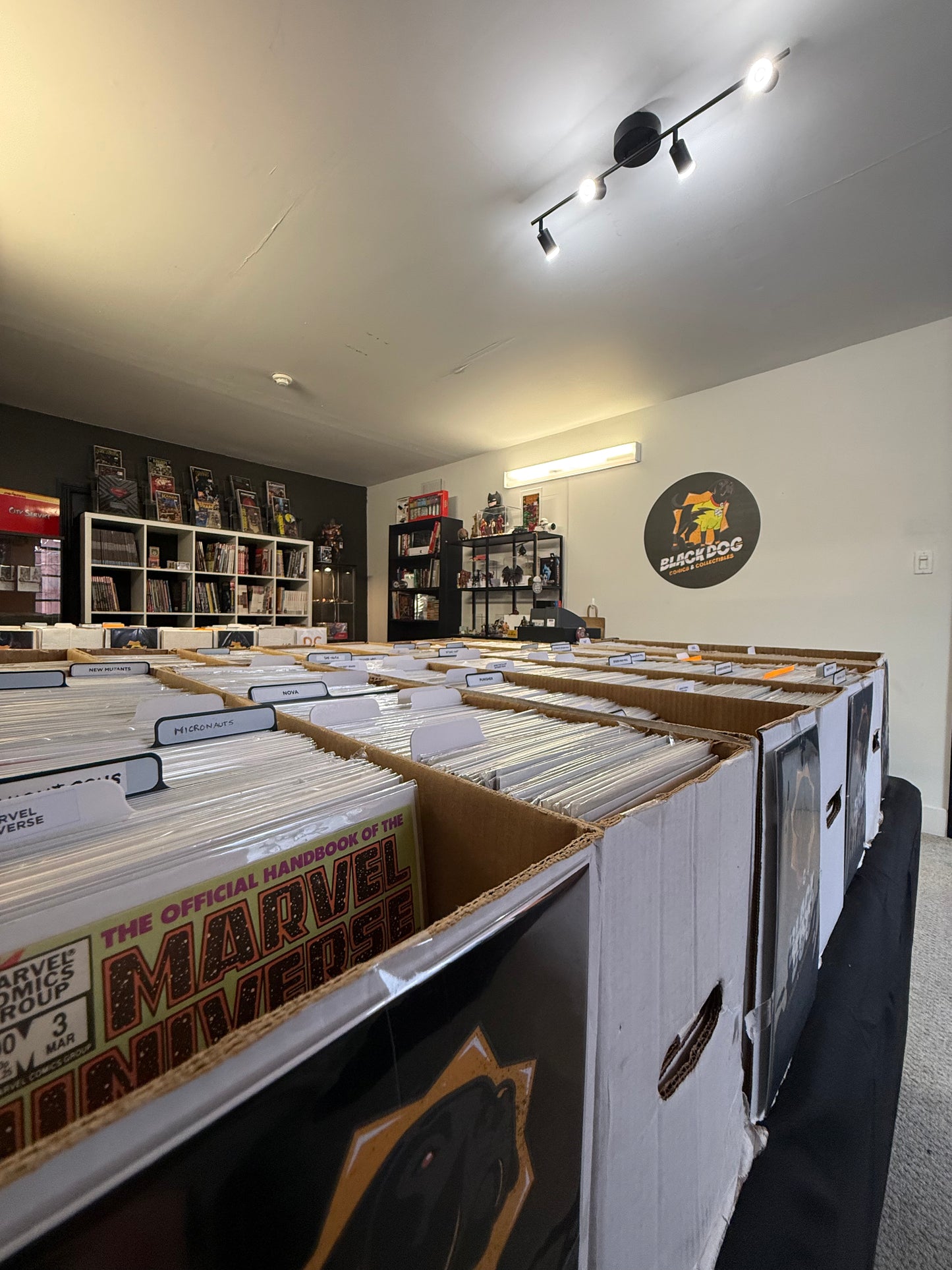 Black Dog Comics & Collectibles
